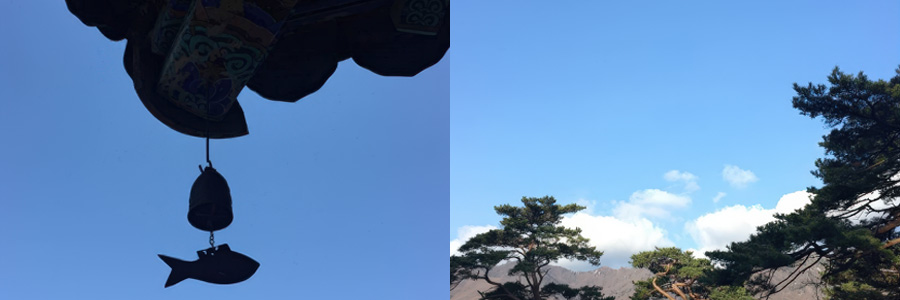 心 찾아가는 길-통도사 Temple Stay